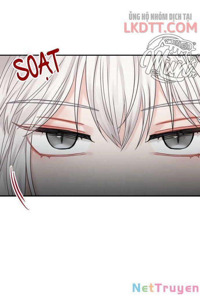 nhật ký tuần trăng mật của phù thủy và rồng chapter 44 71