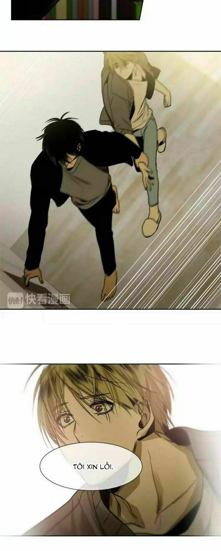 special relationship law chapter 1 31