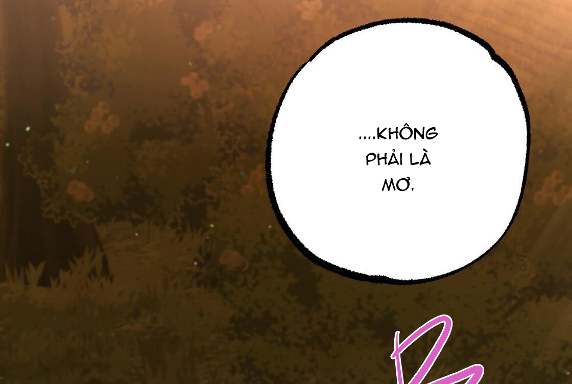 đàn thỏ của habibi chapter 24 71