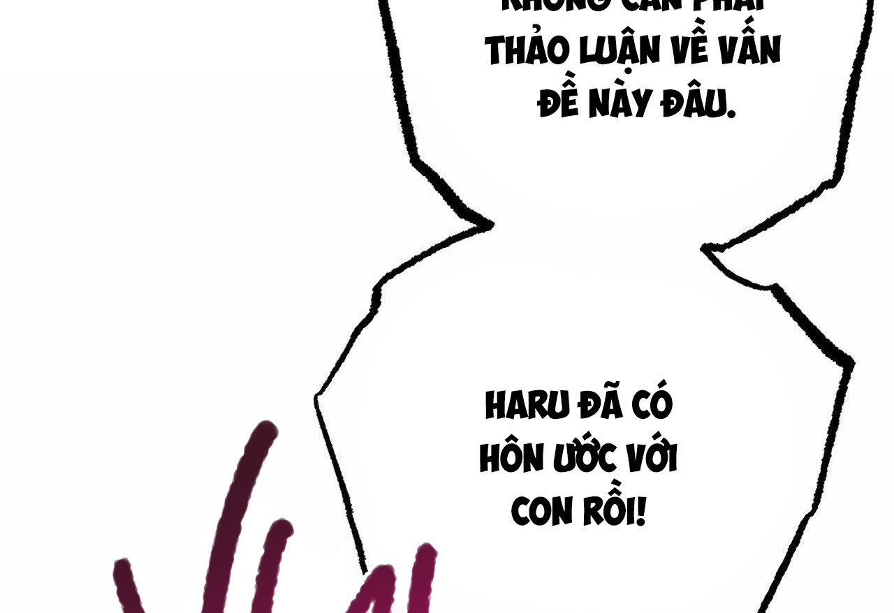 những chú thỏ của hapypy chapter 62 146