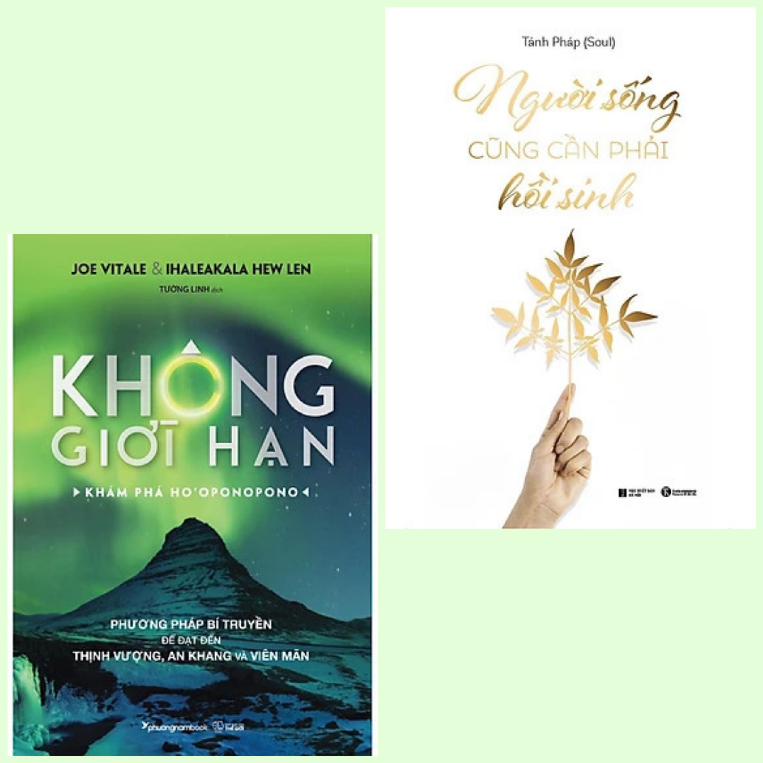 Combo 2 cuốn: Không Giới Hạn - Khám Phá HO'OPONOPONO + Người Sống Cũng Cần Phải Hồi Sinh