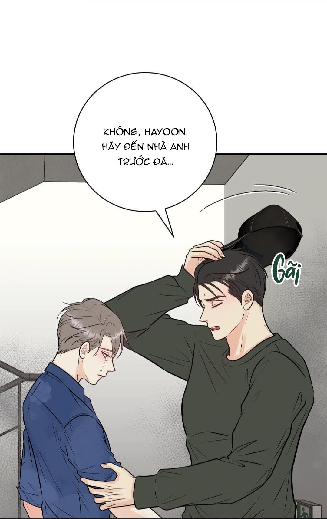 hạnh phúc trọn vẹn chapter 25 25