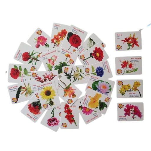 Bộ Thẻ Học Thông Minh Flash Card Song Ngữ Anh - Viêt 16 Chủ Đề (416 thẻ)