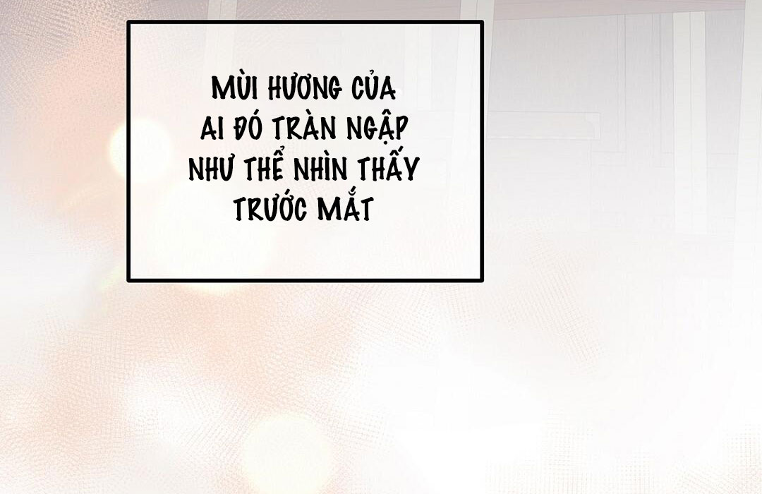 vùng cấm tình yêu của beta chapter 46 39