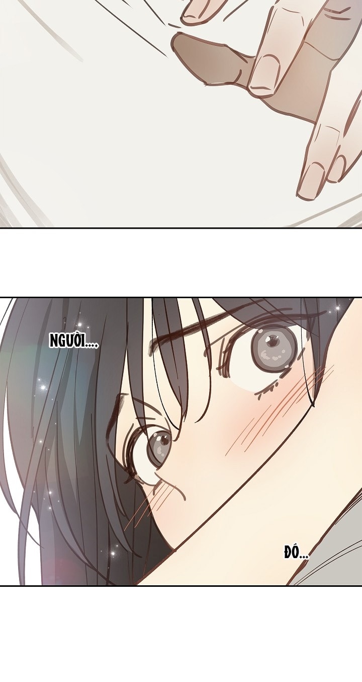 [18+] hoa là mồi nhử chapter 14.2 14