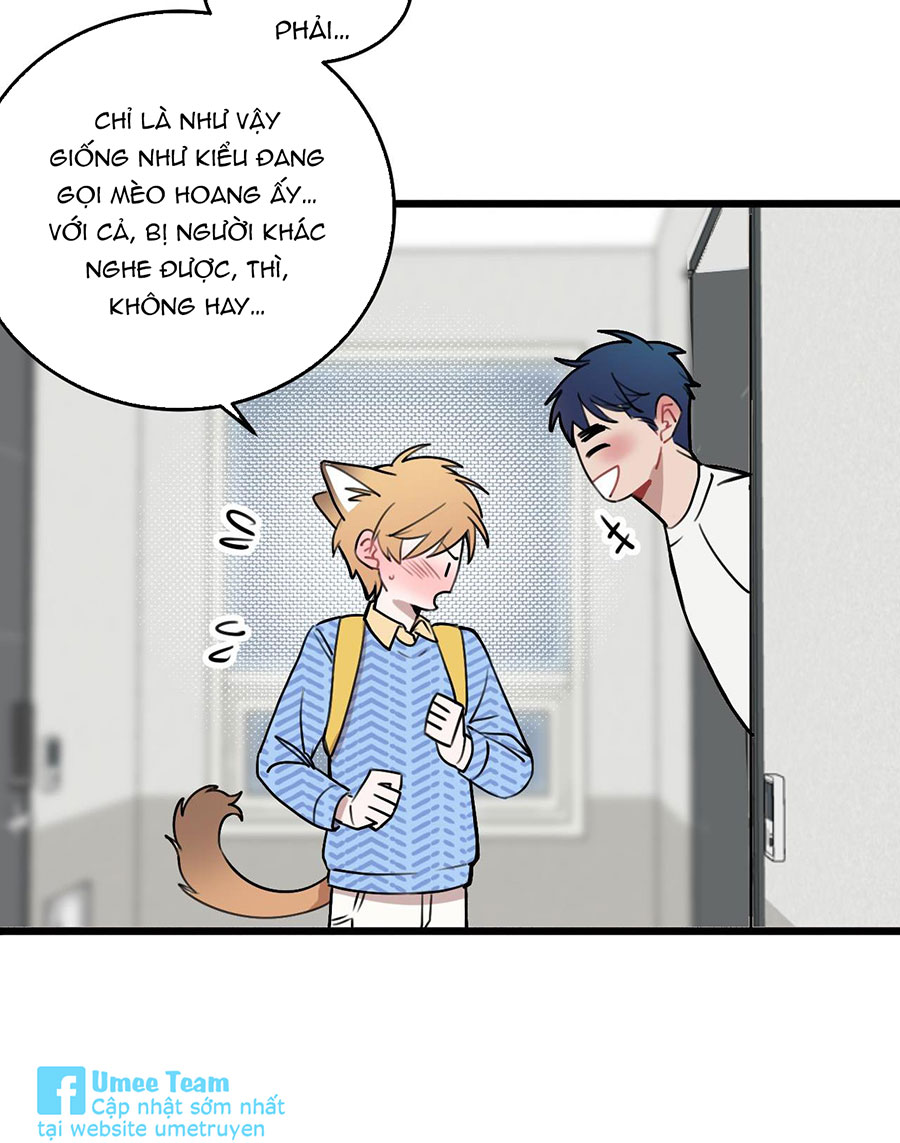 rốt cuộc bé mèo đang nghĩ gì ? chapter 12 29