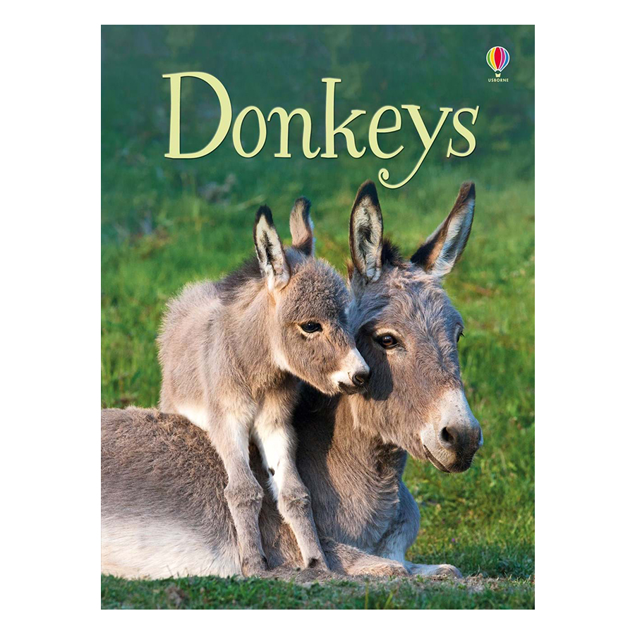 Usborne Donkeys