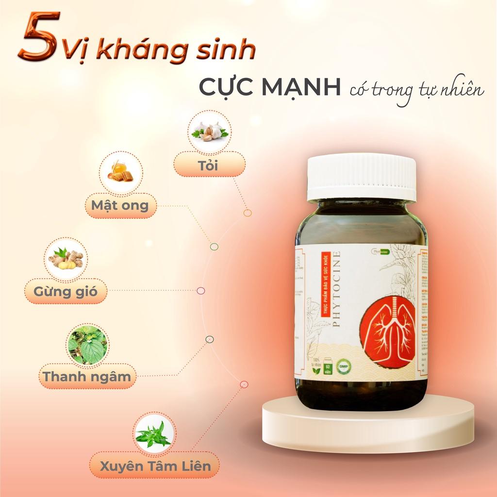 Viên uống chiết xuất Xuyên Tâm Liên PHYTOCINE | Hỗ trợ bảo vệ hệ hô hấp toàn diện