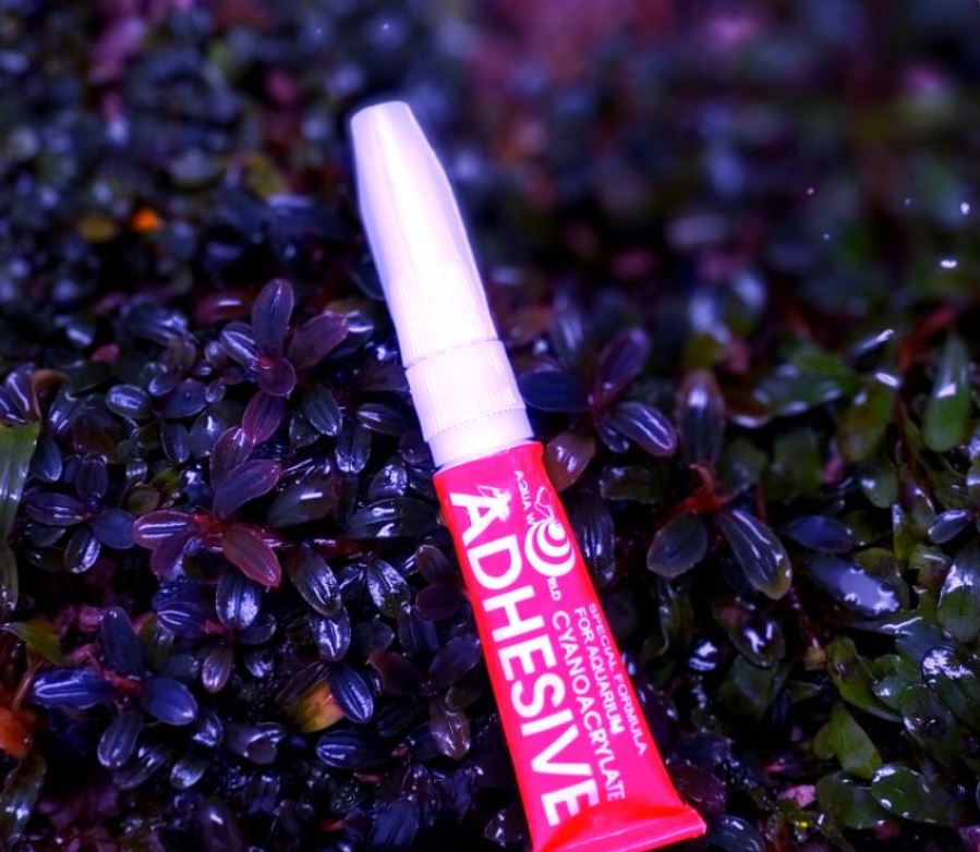 Keo Dán Cây Thủy Sinh ADHESIVE