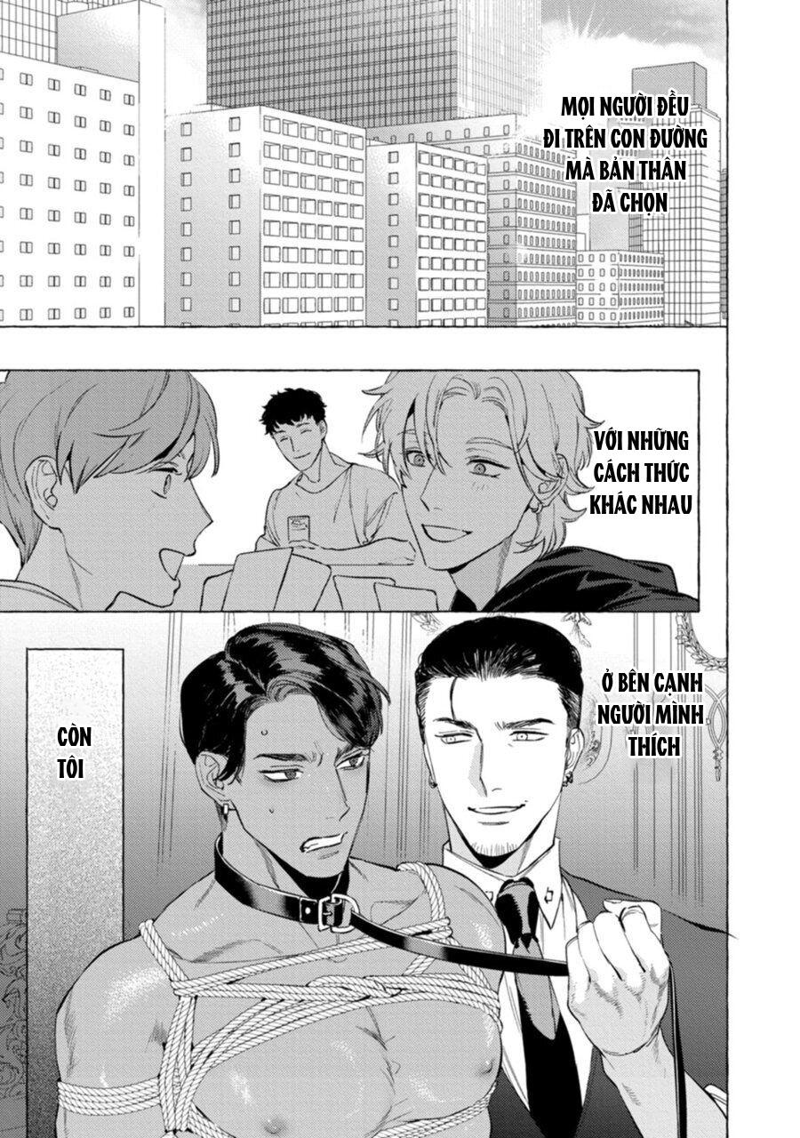 báo săn nơi công sở chapter 6 29