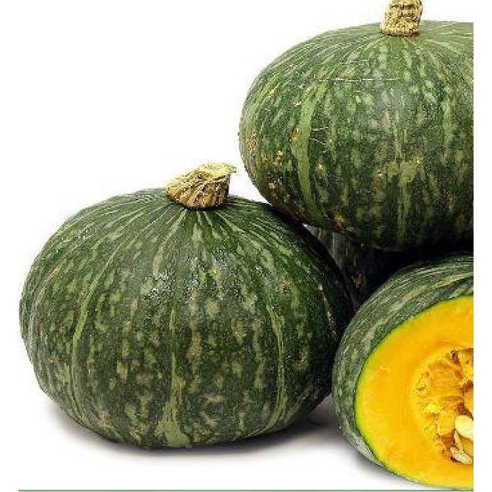 Hạt giống bí đỏ da xanh Nhật F1 KNS327 - Gói 10 hạt