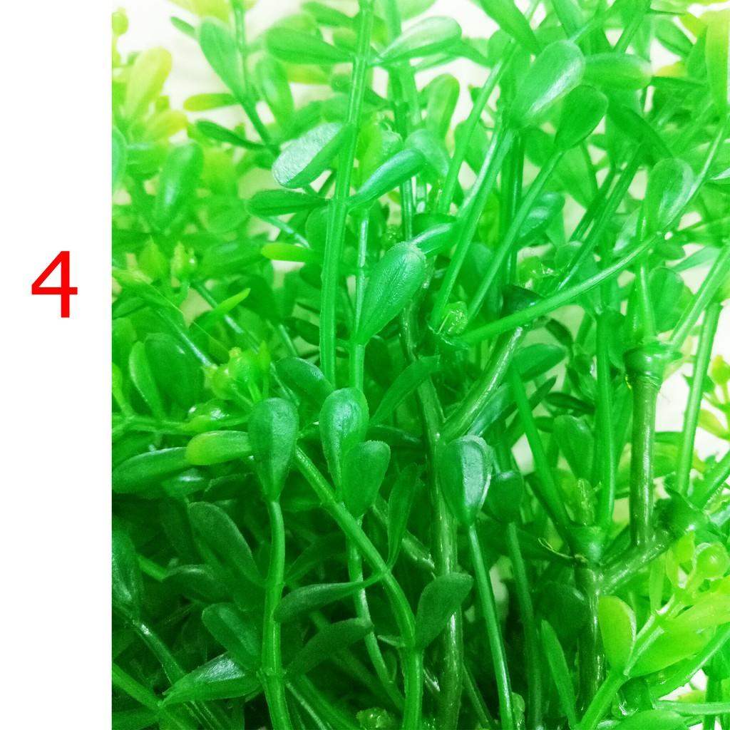 Cây Trang Trí Bể Cá Size Lớn - Đồ Trang Trí Hồ Cá