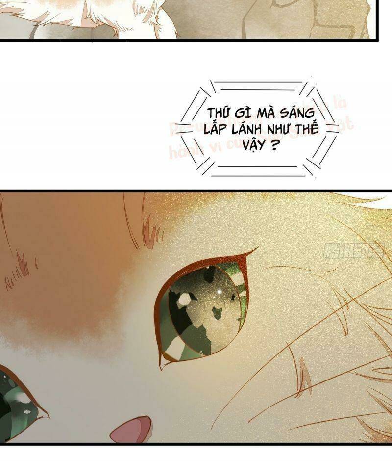 sát thủ vương phi không dễ chọc chapter 37 9