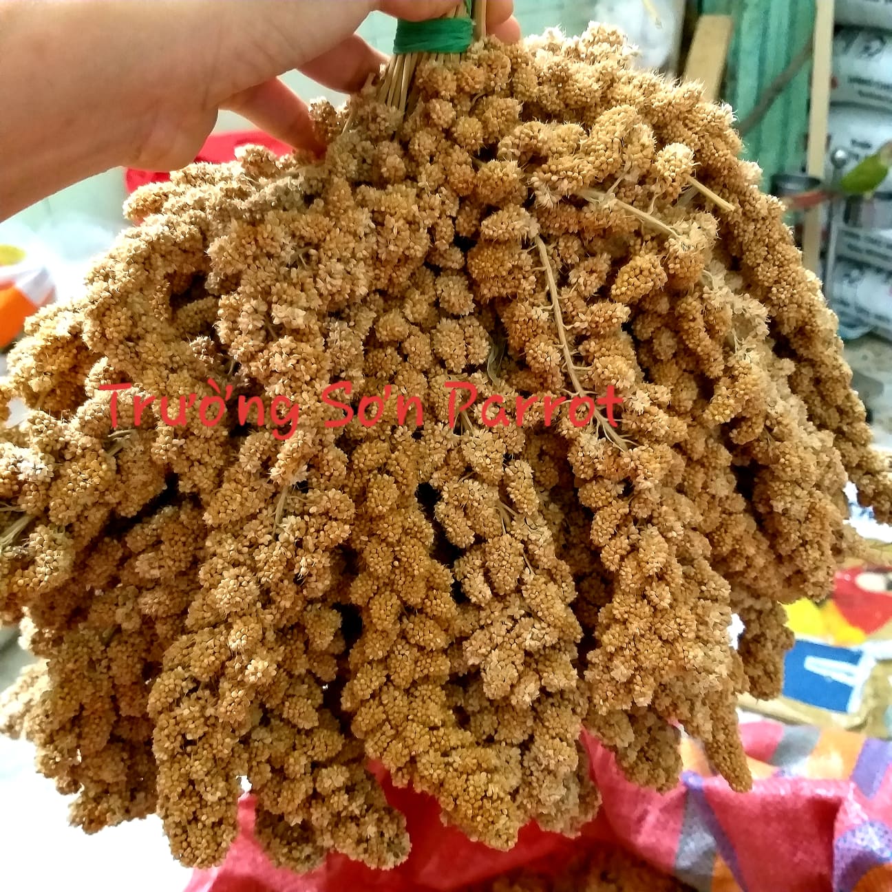 Kê chùm cho vẹt, chuột gói 500g/1000g