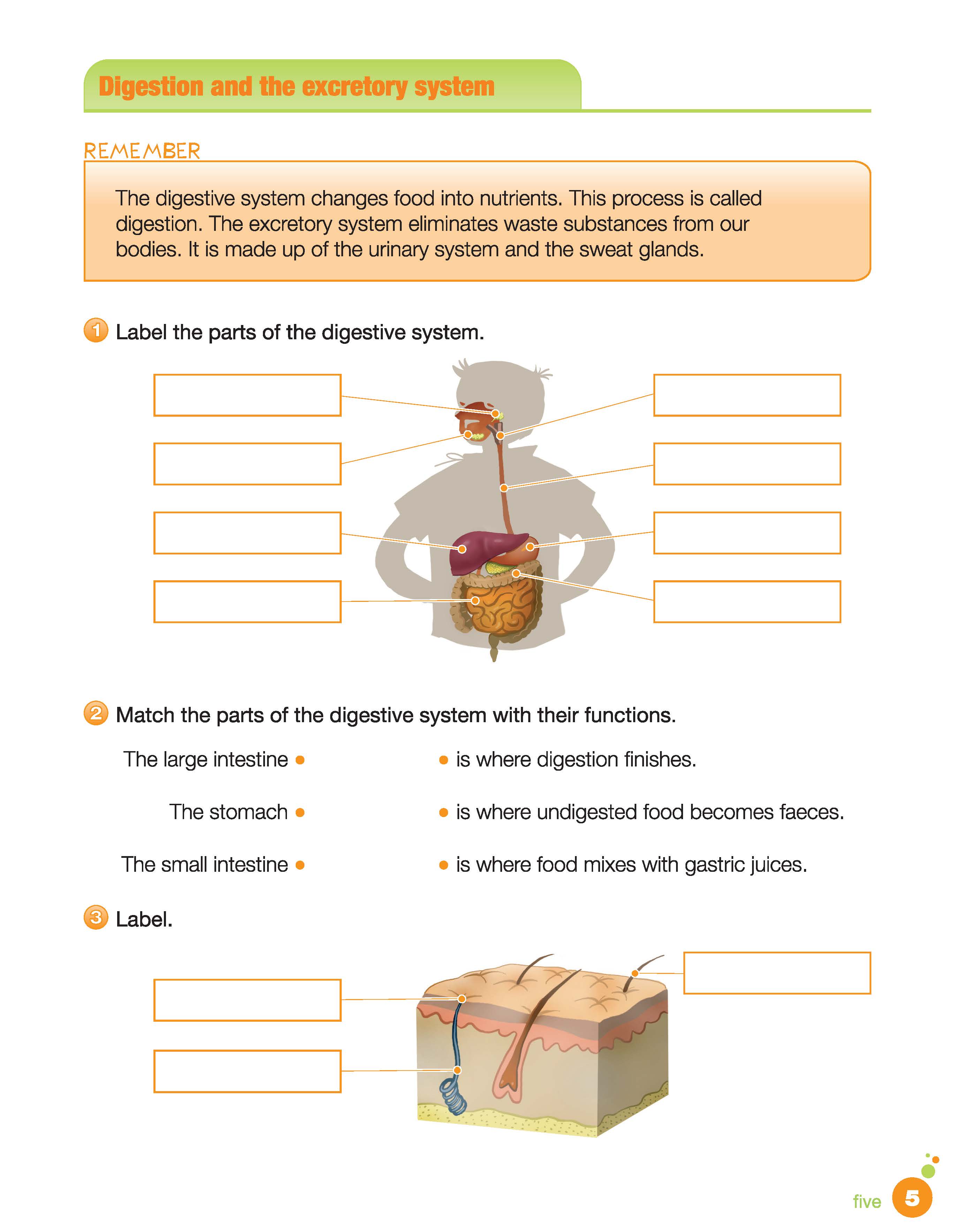 I-Learn Smart Science 4 Activity Book