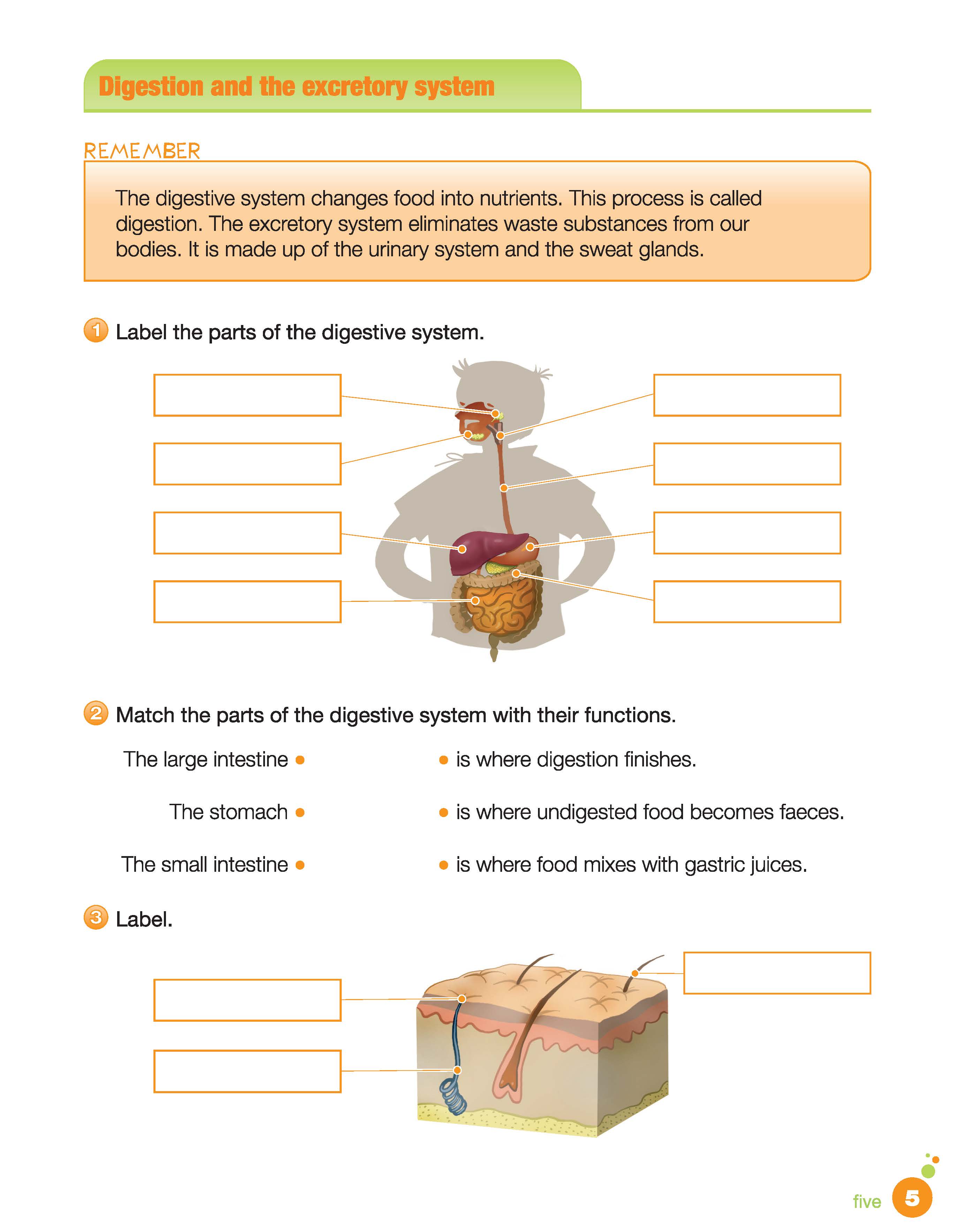 i-Learn Smart Science 4 Activity Book