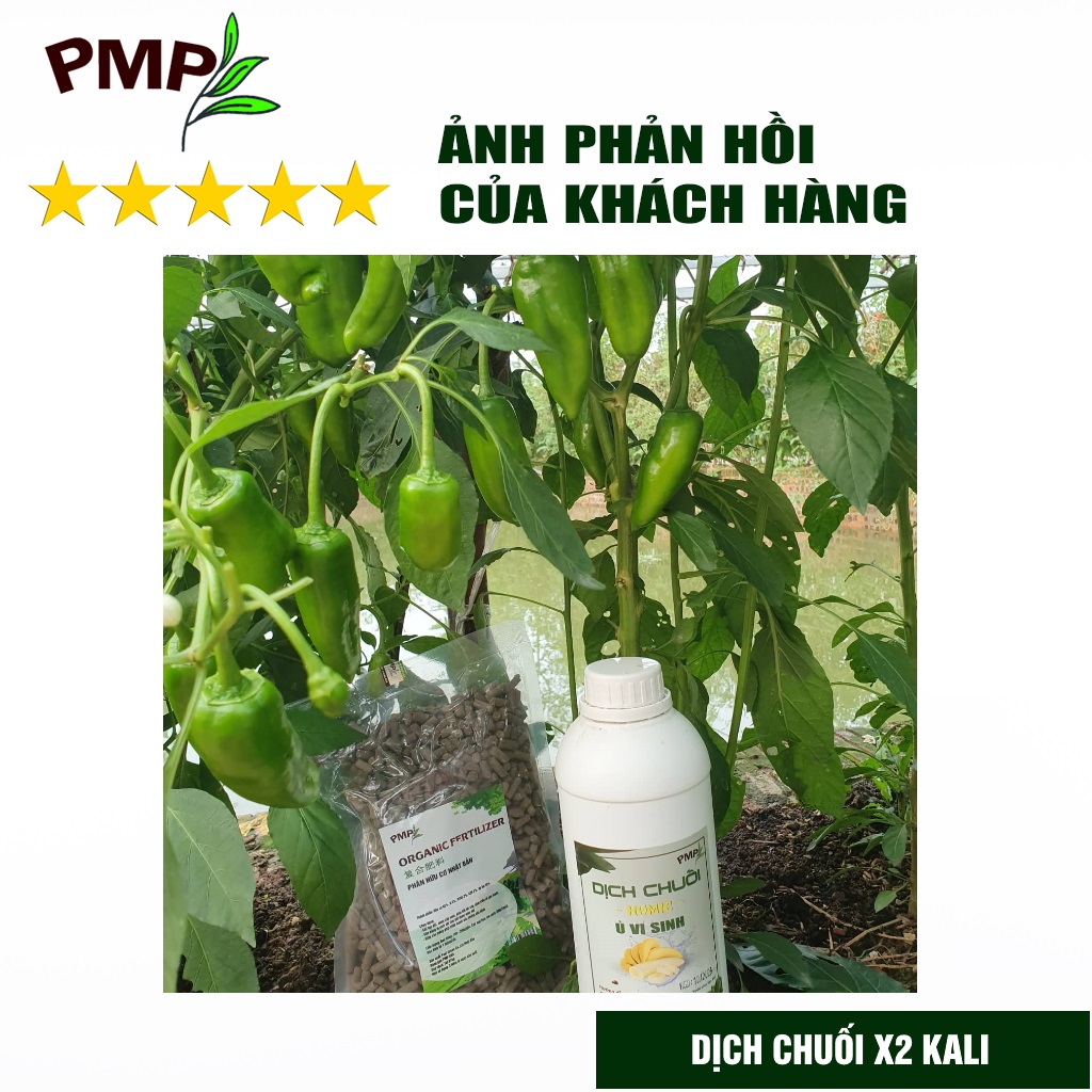 Dịch Chuối Humic PMP Vi Sinh Chuyên Dùng Cho Hoa Hồng, Hoa Lan, Rau Sạch 1000ml