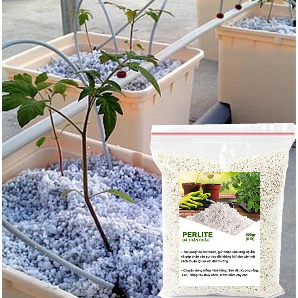 Đá Perlite -chất dinh dưỡng, điều hòa nhiệt độ độ ẩm cho đất trồng-thích hợp để trồng hoa, trồng hoa hồng,sen đá-500gr