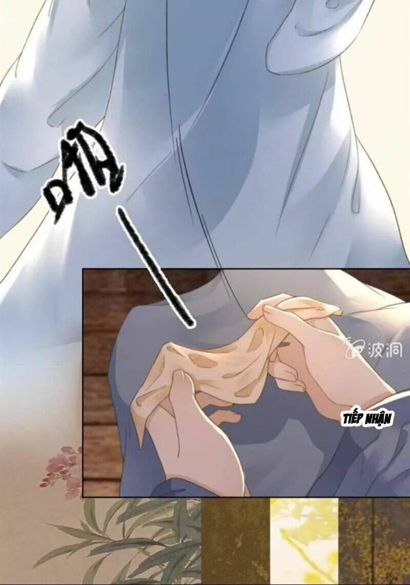 sủng phi của vương chapter 144 11