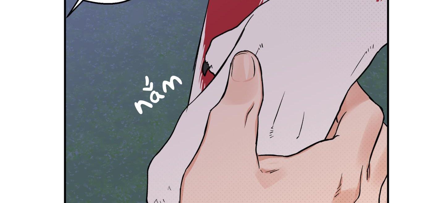 gâu gâu! chapter 51 142