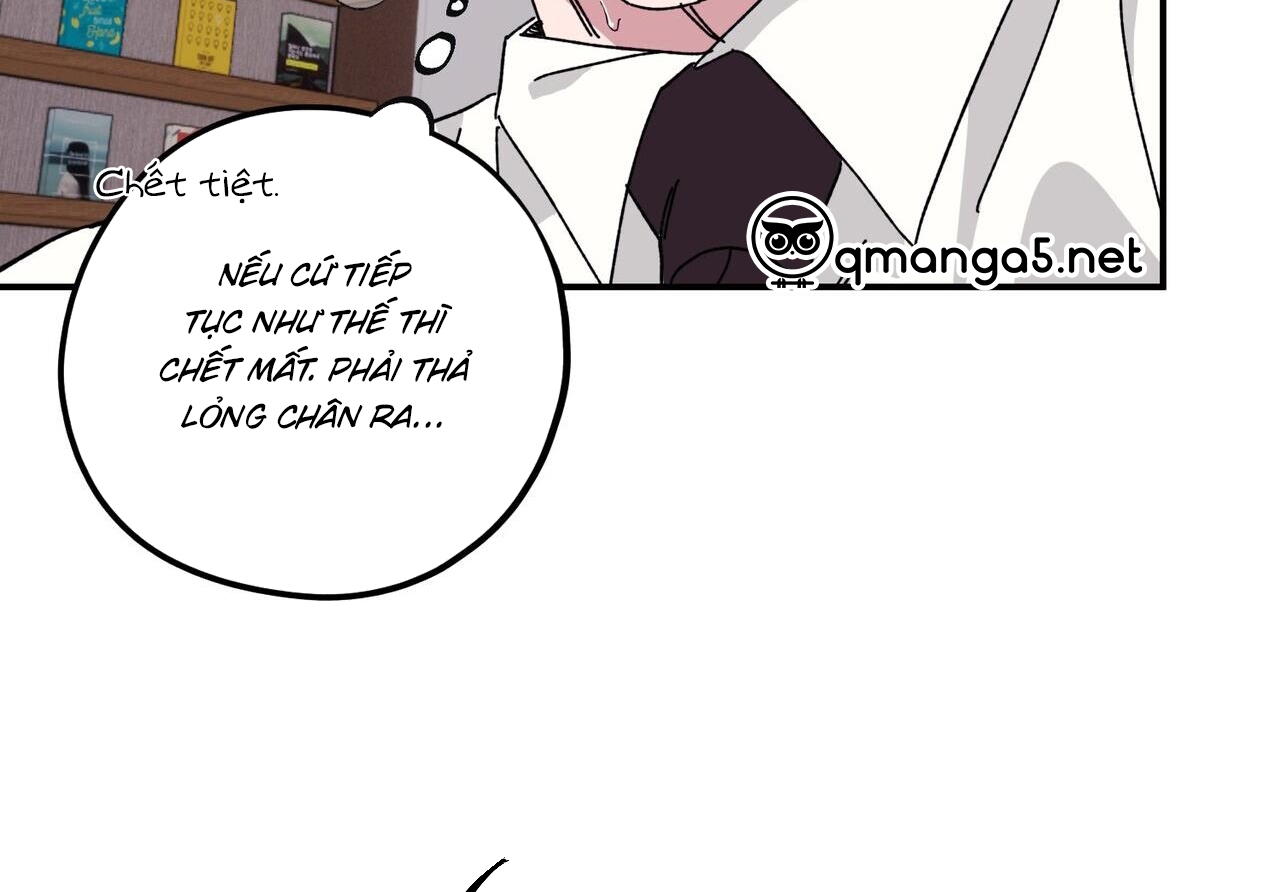 chàng dâu nhà họ kang chapter 34 87