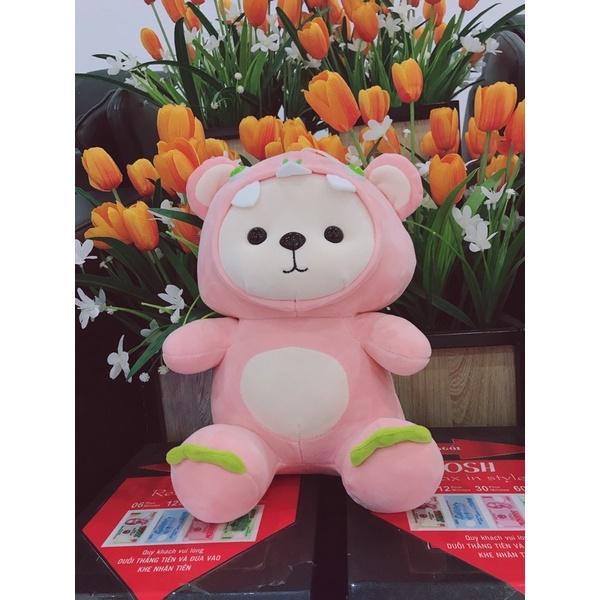 Gấu bông đội mũ cosplay ếch size 25cm