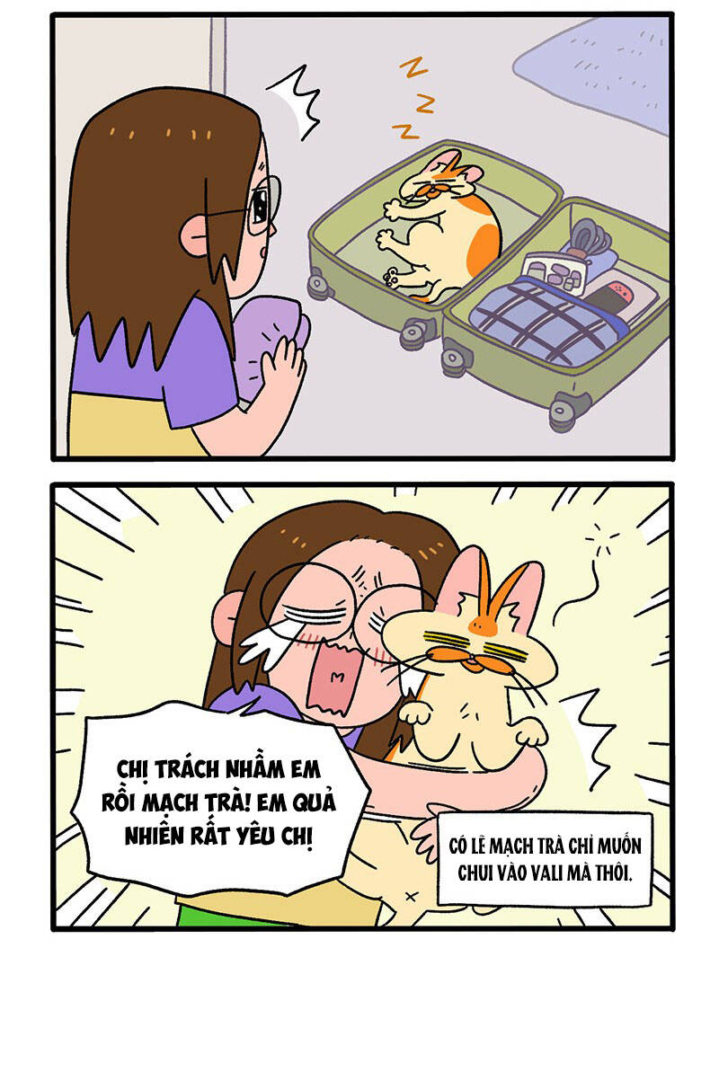 a mãn và mạch trà chapter 34 4