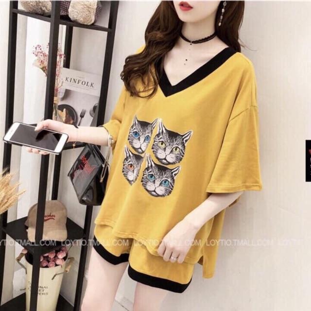 Bộ mặc nhà hình mèo kute