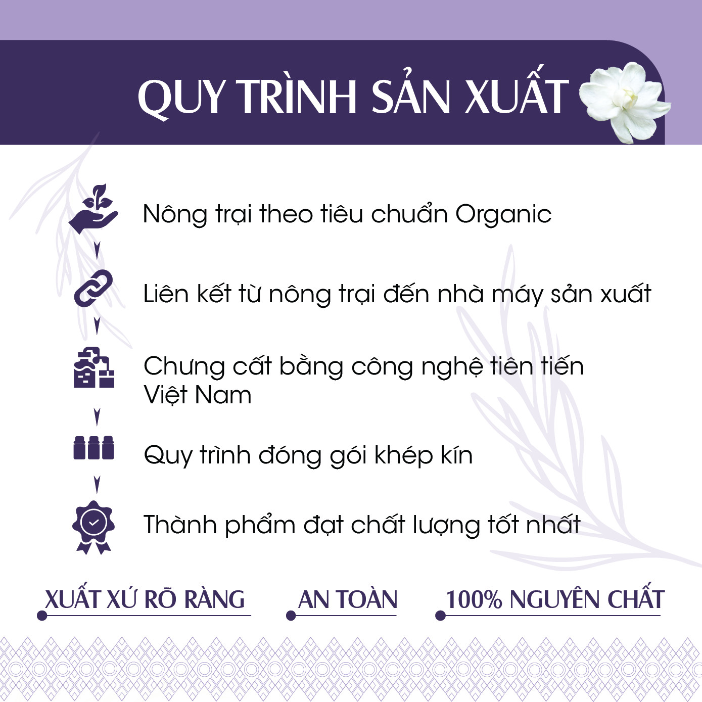 Combo 2 Tinh dầu Bạc Hà + Oải Hương 24Care 10ml/Chai