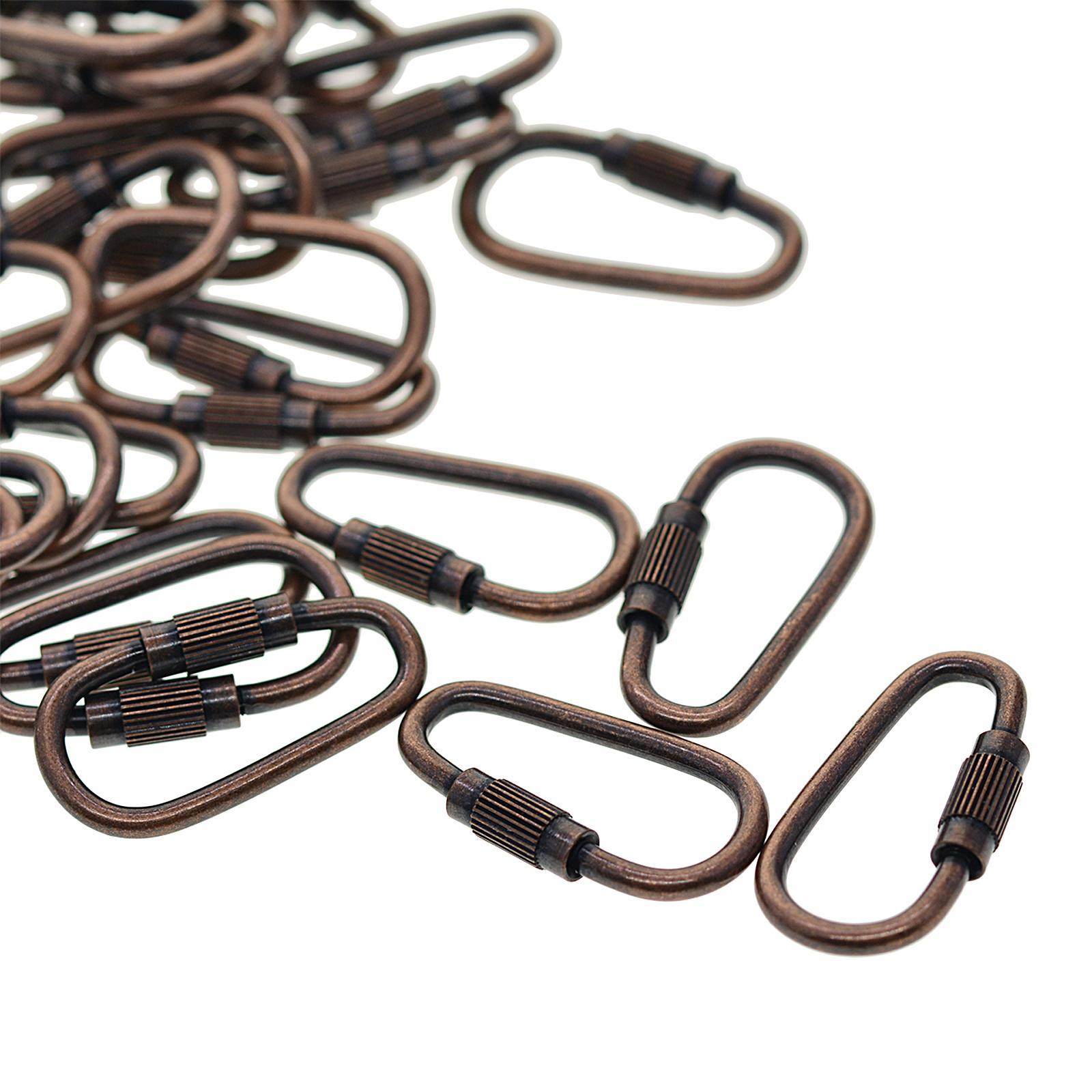 20PCS Small Locking Carabiner Clip Mini Locking Clips D-Ring Lightweight Keychain Clip for Indoor Outdoor Use