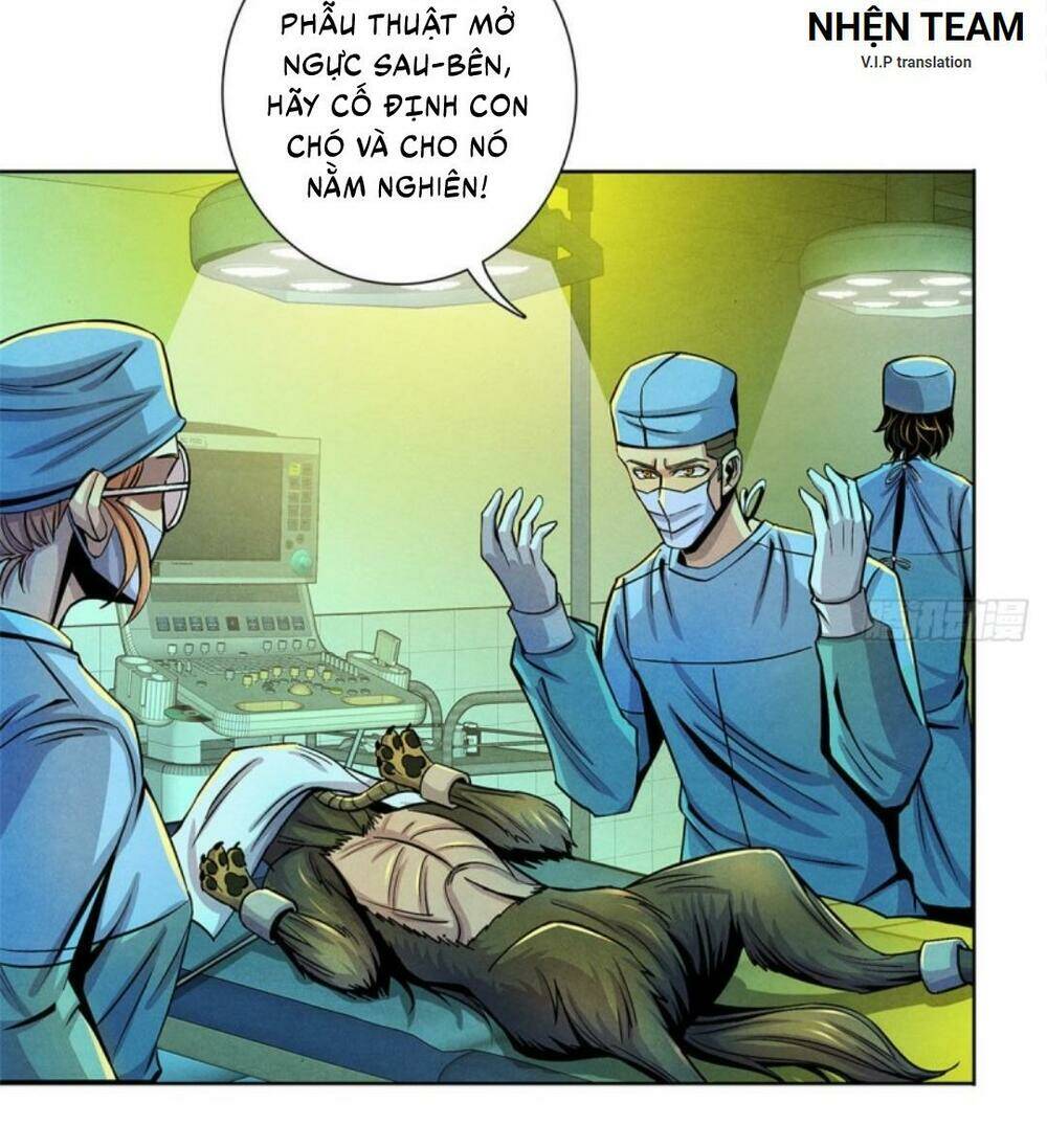 bác sĩ hỗn mang chapter 31 33