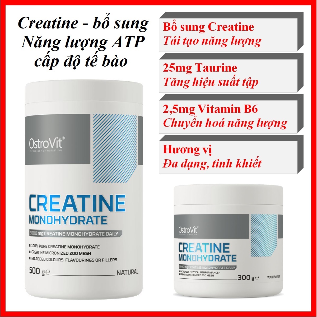 Ostrovit Creatine 300g/500g – Bổ sung Acid Amin Creatine, Taurine, B6, gia tăng sức mạnh, tái tạo năng lượng tập luyện