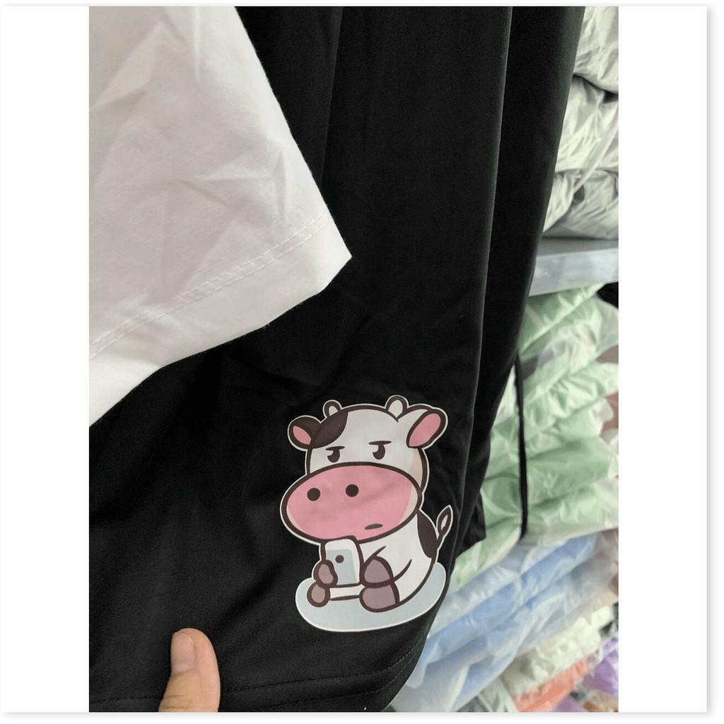 SET BỘ THUN COTTON NỮ XINH XẮN