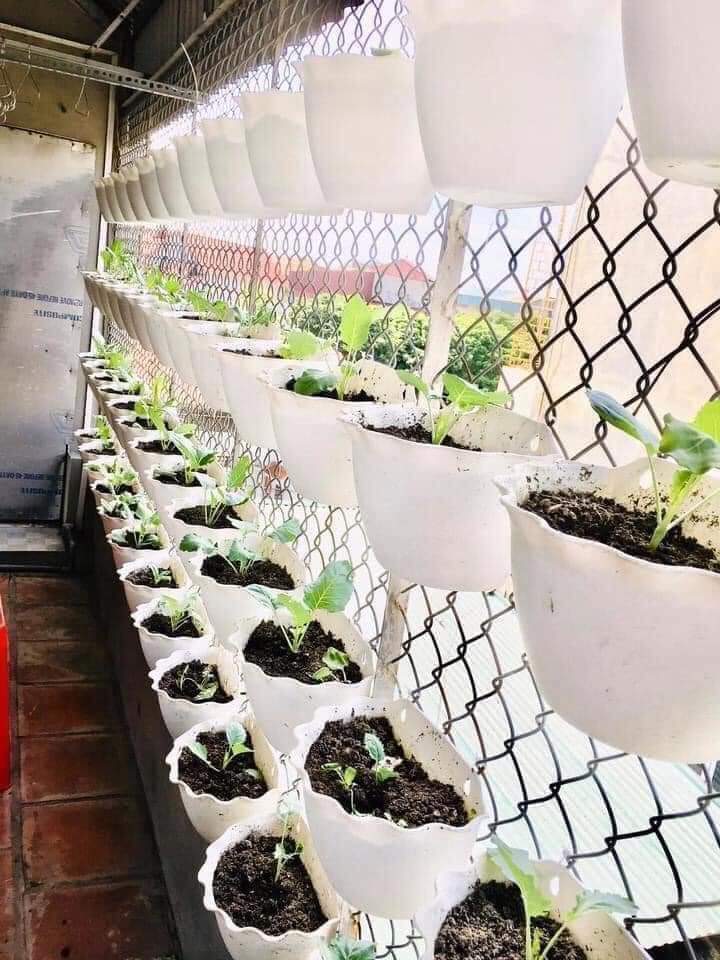 10 chậu áp tường siêu đẹp, chậu treo tường