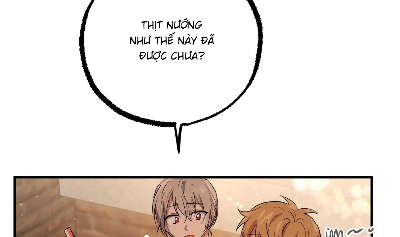 những chú thỏ của hapypy chapter 56 168