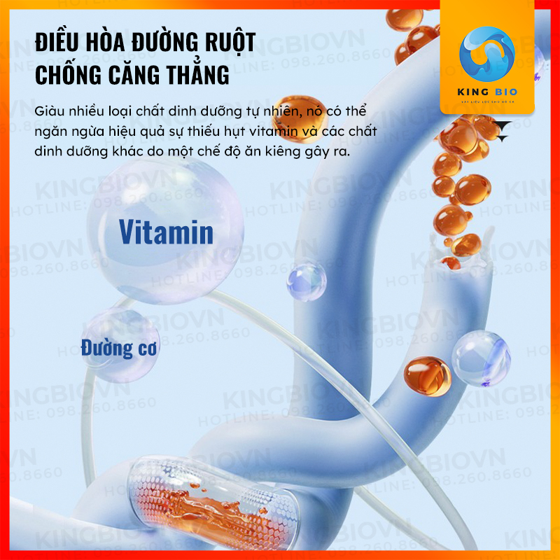 Vitamin tổng hợp Yee Vitamin Amino Acids hỗ trợ tiêu hóa, tăng sức đề kháng, giảm stress cho cá cảnh