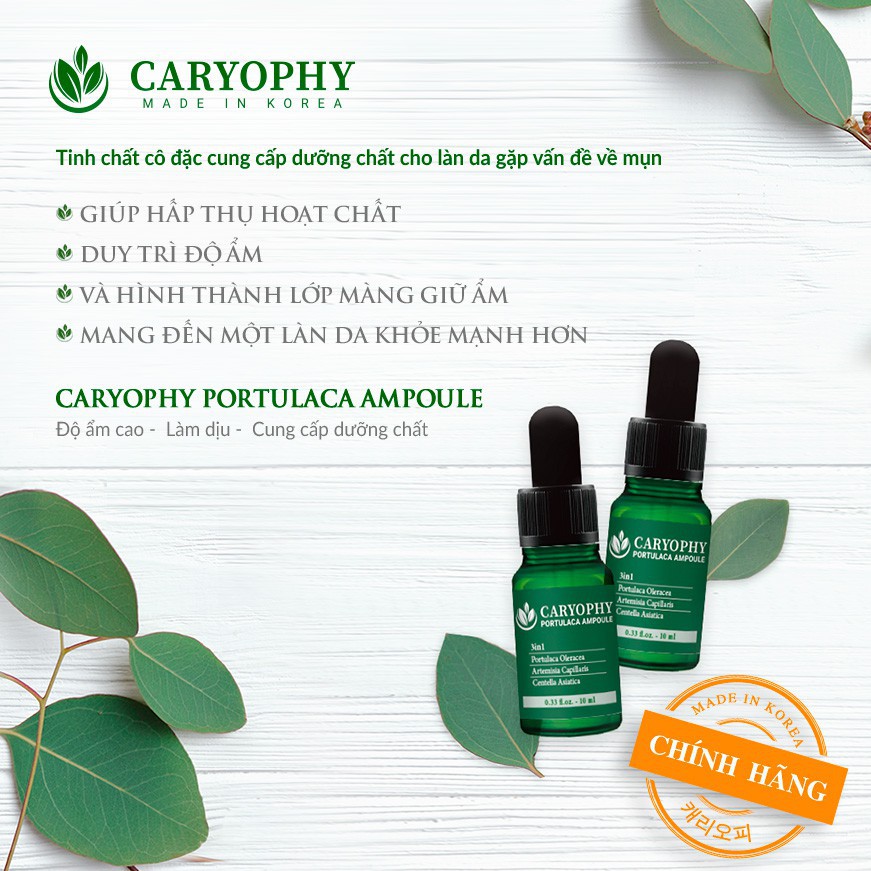 Combo Nước hoa hồng Caryophy Portulaca Toner 300ml + Serum dưỡng ẩm Caryophy Portulaca Ampoule 10ml