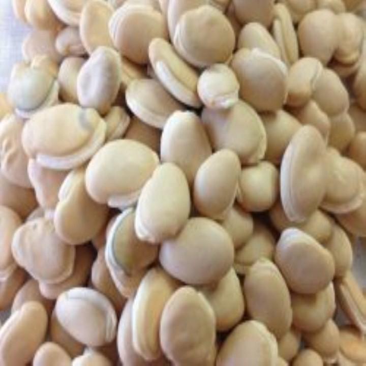 Hạt giống đậu ván xanh thân leo 10 hạt