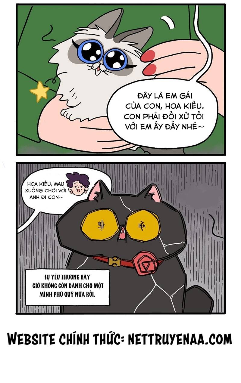 a mãn và mạch trà chapter 15 6