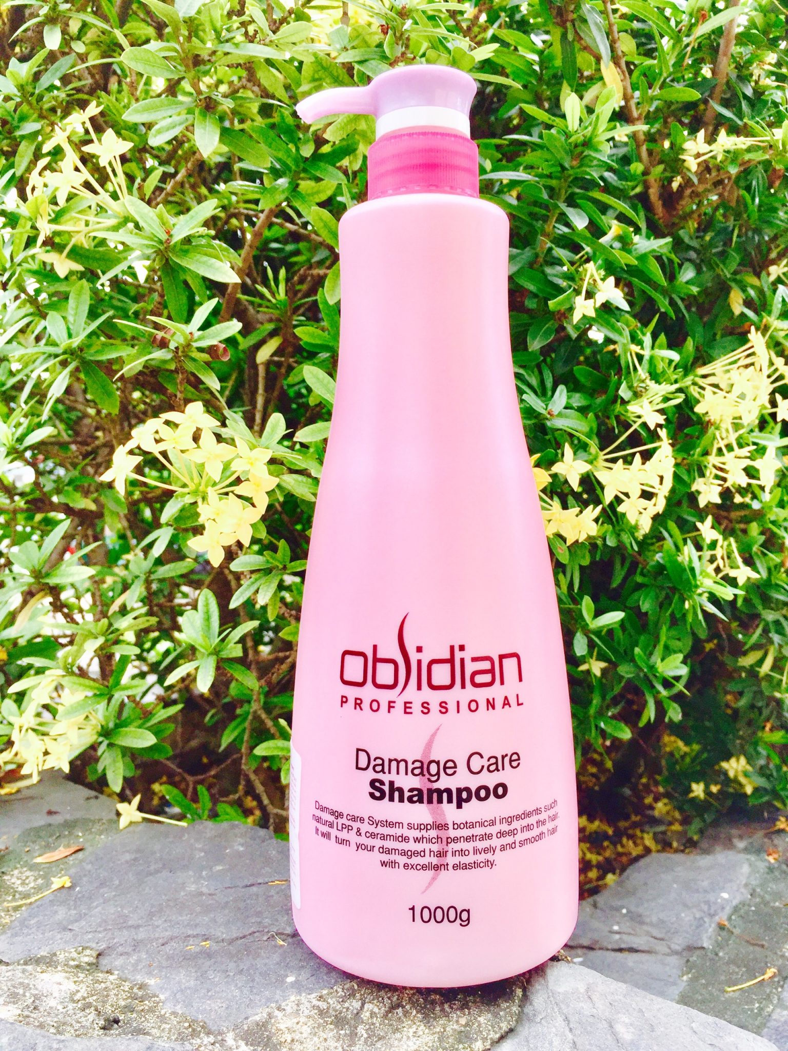 Cặp dầu gội/xả tái tạo tóc Obsidian Professional Damage Care Hàn Quốc (2x1000ml) tặng kèm móc khoá