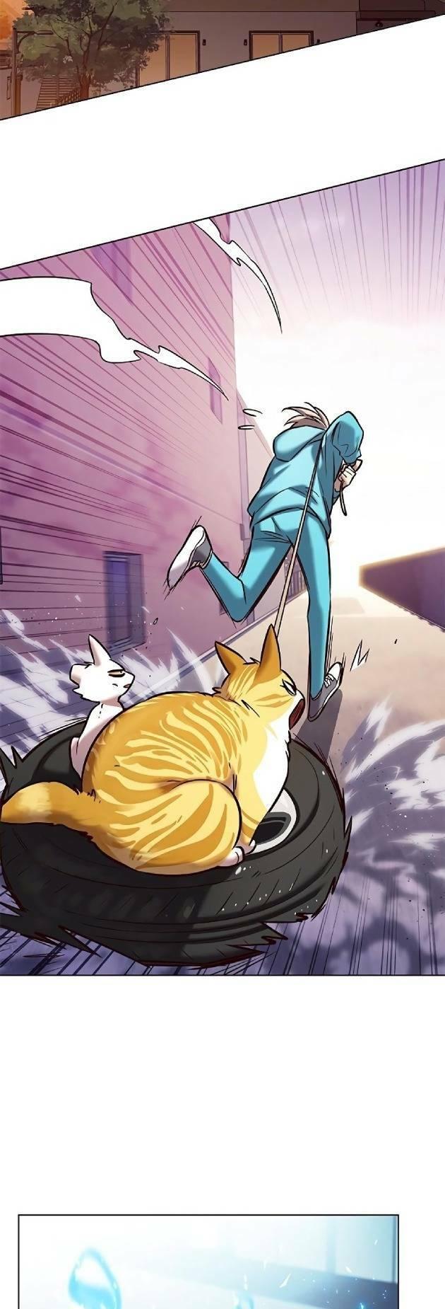 biến thân thành mèo chapter 239 47