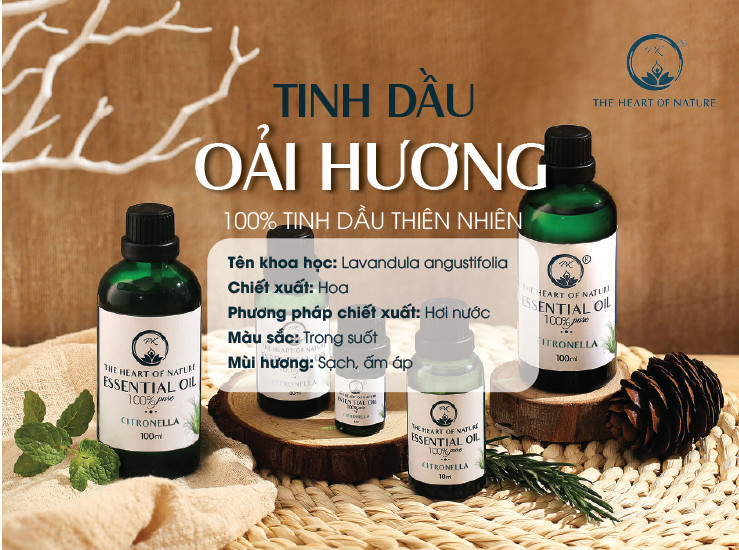 Tinh Dầu Cao Cấp Lavender PK 100ml - Tinh Dầu Oải Hương Thơm Phòng, Đuổi Muỗi, Thư Giãn - Chứng Nhận Hữu Cơ Organic FDA Hoa Kỳ duy nhất Việt Nam