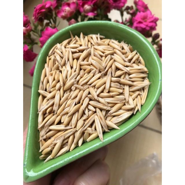Túi 500 gr yến mạch nguyên vỏ