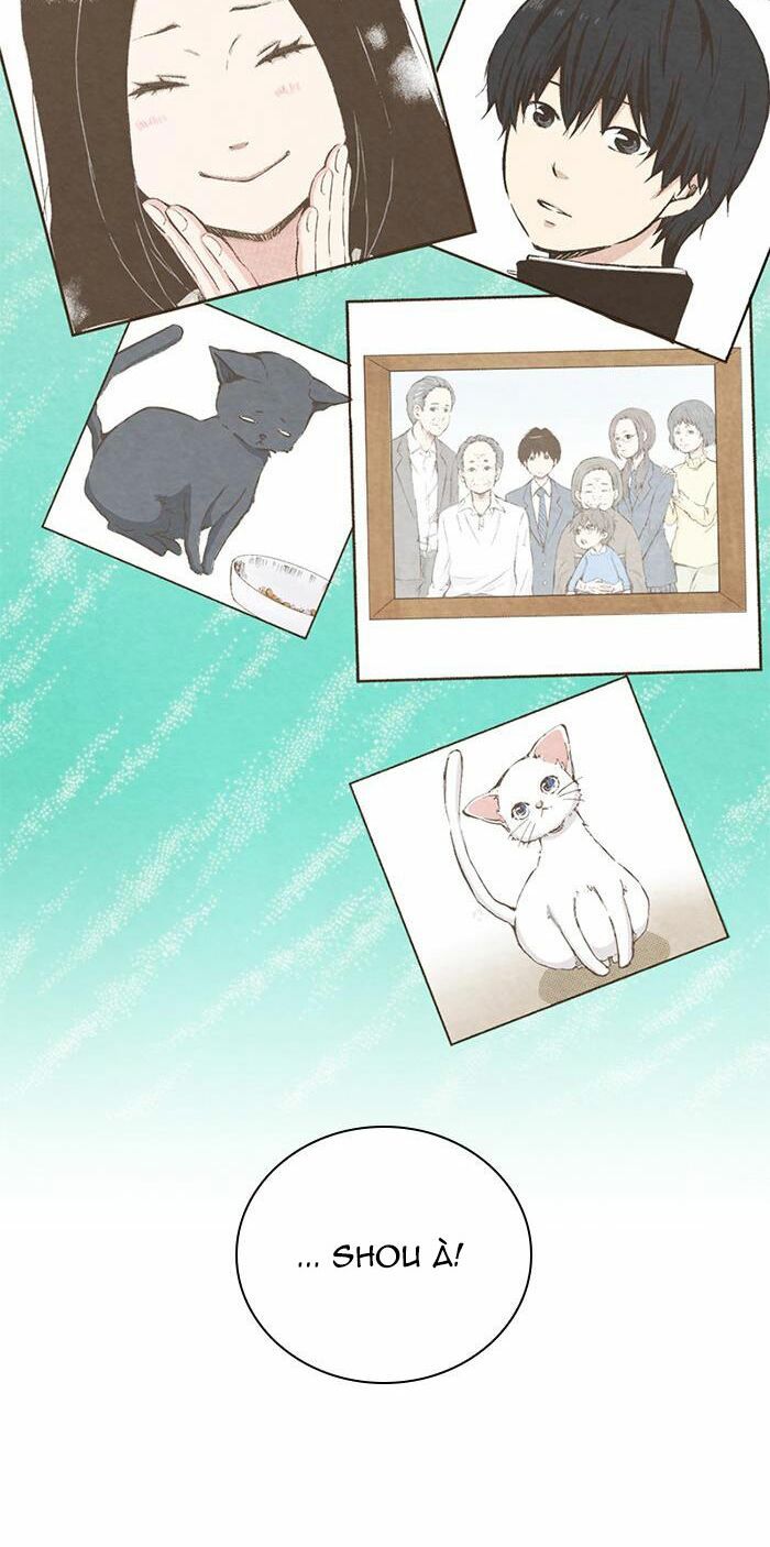 honey! honey! marry me! chapter 67 26