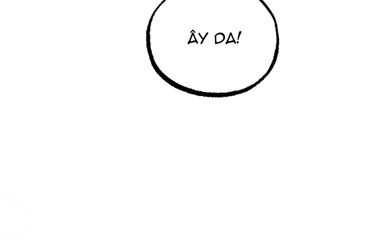 những chú thỏ của hapypy chapter 11 53