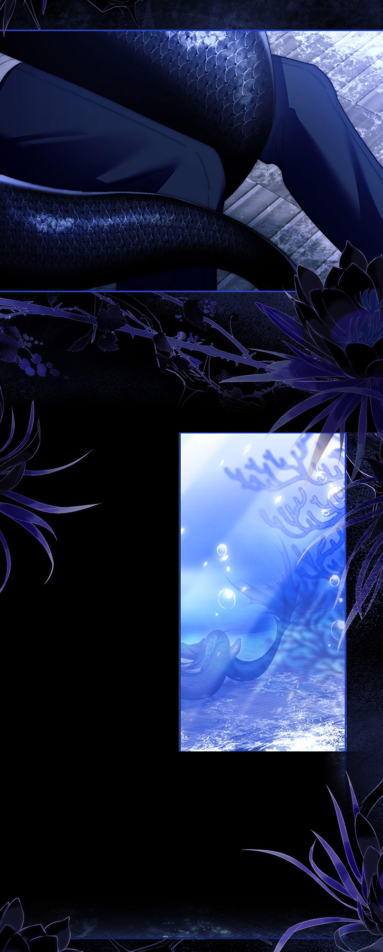 nhân ngư dessaro chapter 10 13