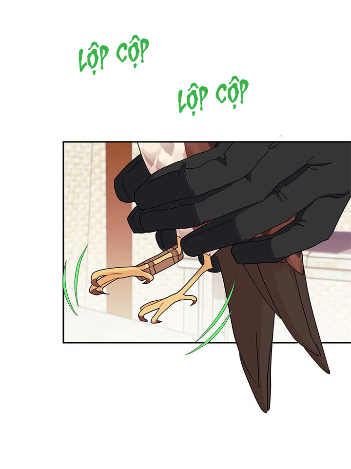 công chúa của loài chim chapter 15 28