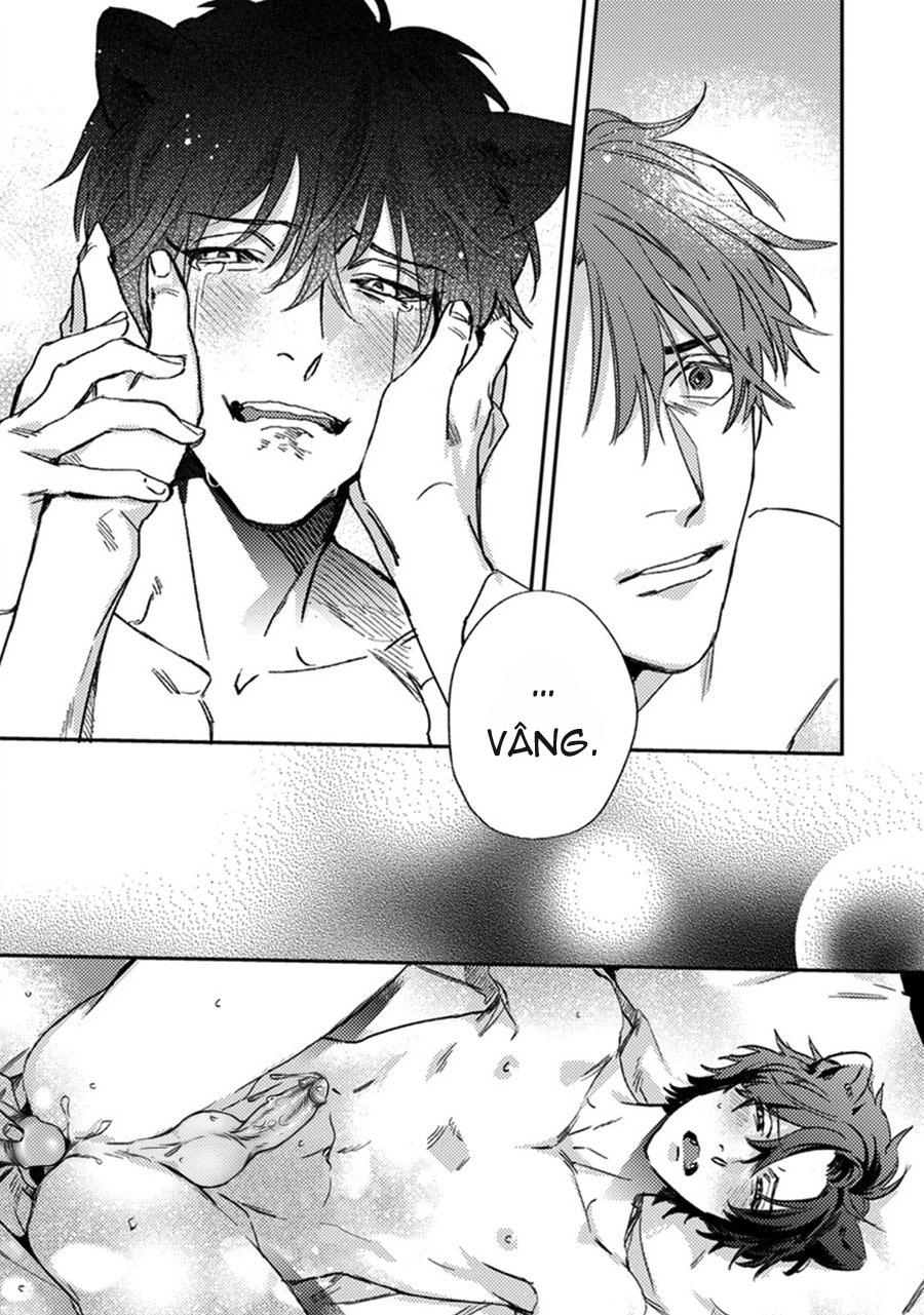 sự rung động thuần khiết chapter 6 29