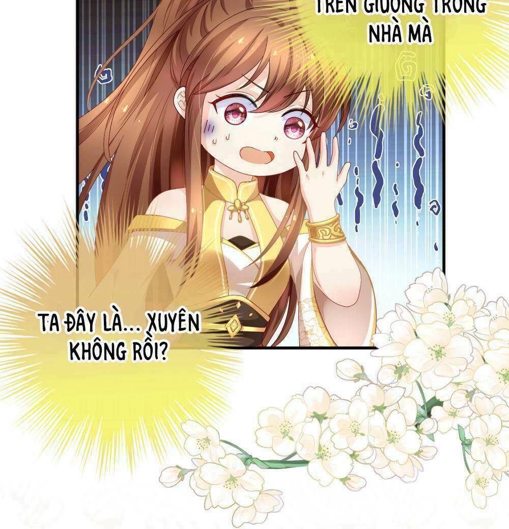 mau xuyên hướng dẫn tự cứu vật hi sinh nữ phụ chapter 0 2