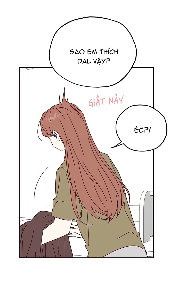 sợi chỉ nhân duyên của sarang chapter 28 37